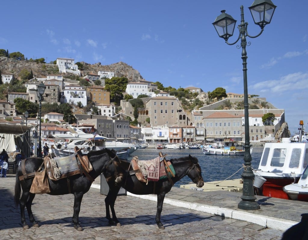 Donkeys are the sole means of transport on the island of Hydra - no cars at all!